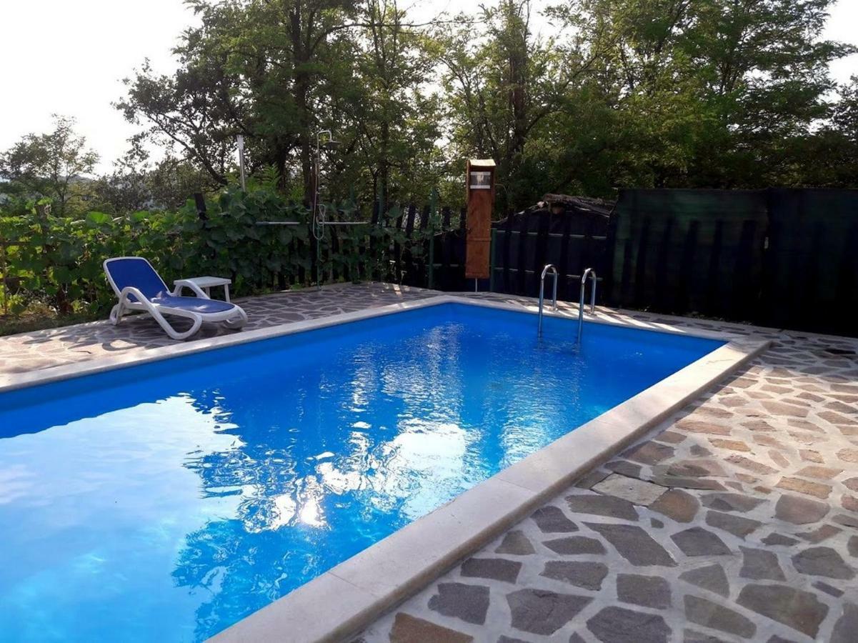Apartment Nada With Private Pool Buzet Bagian luar foto