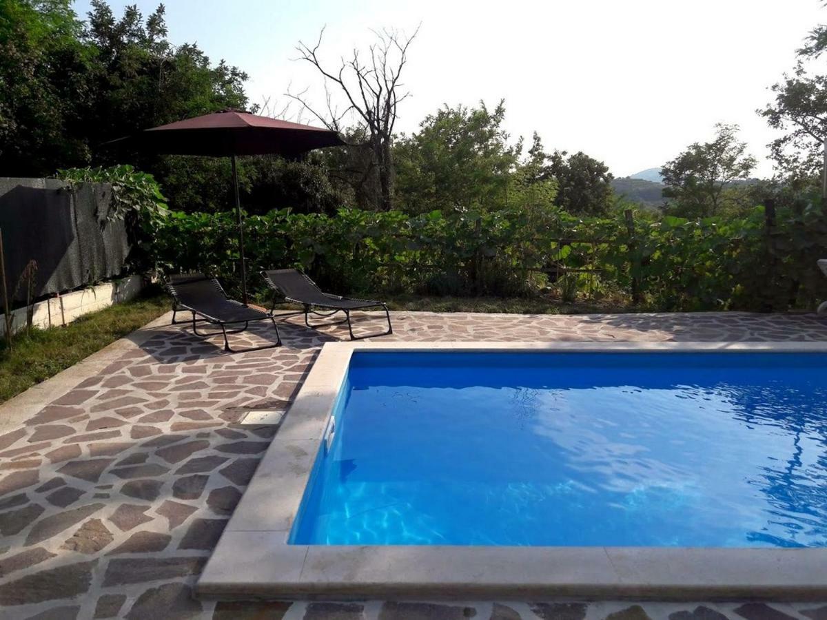Apartment Nada With Private Pool Buzet Bagian luar foto